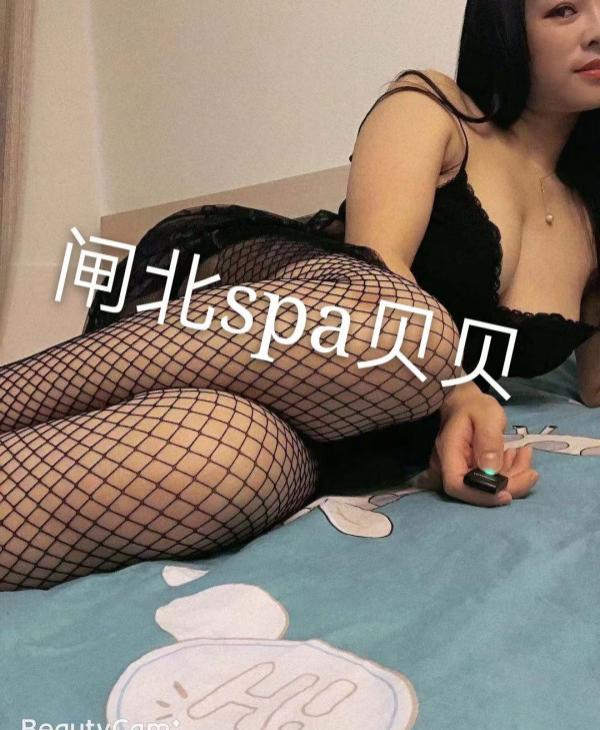 闸北贝贝回归