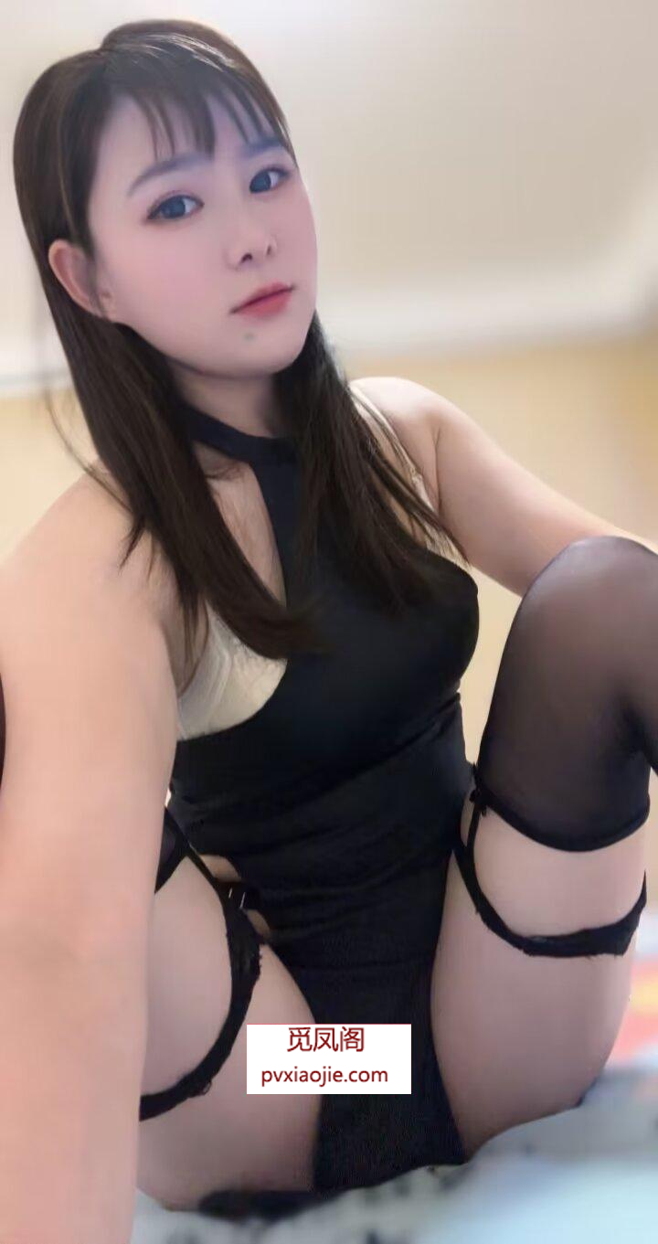 静静徐汇回归