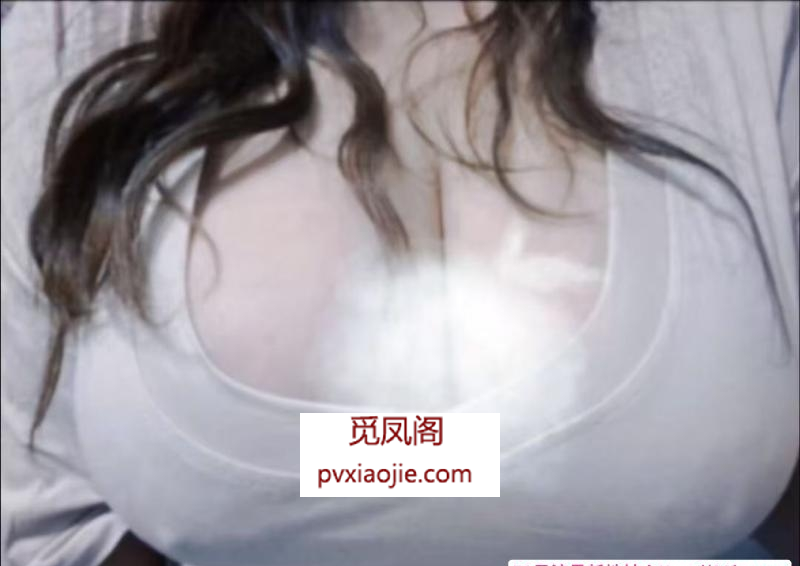人瘦胸大系列
