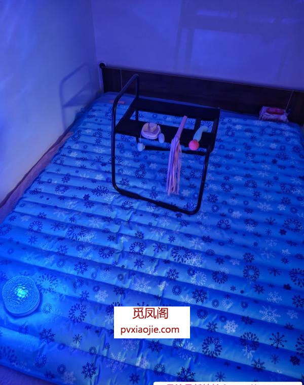 AV水床小刺猬