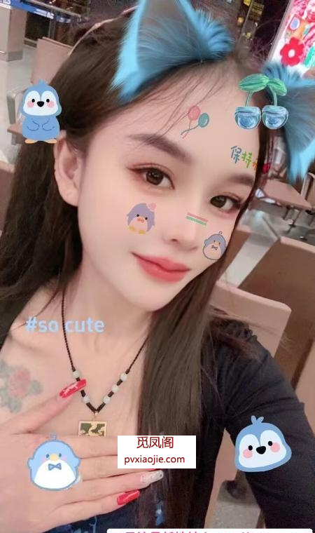 颜值小花猫