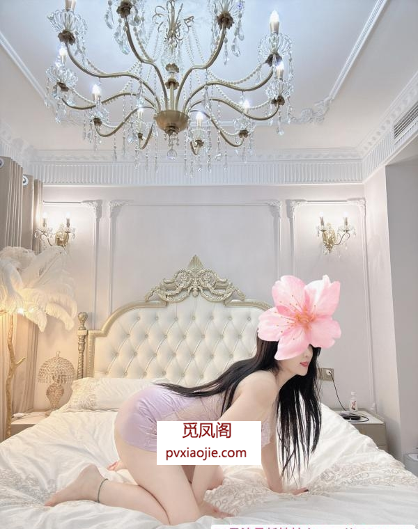 李沧区小美狐