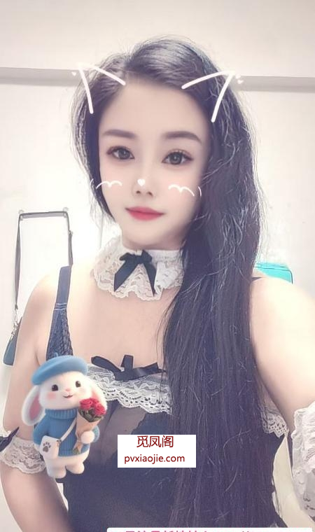 海珠江南西丽丽