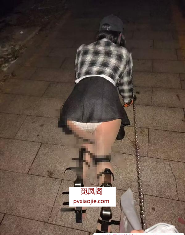 sm小丫鬟体验