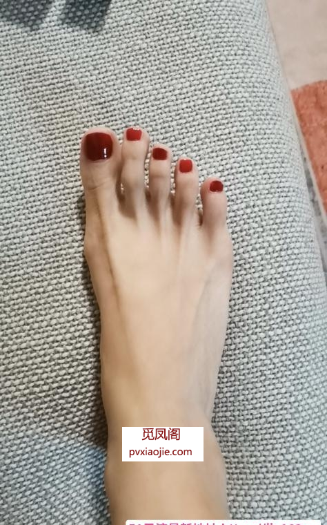普陀美腿莫妮卡