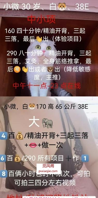 包河白虎少妇
