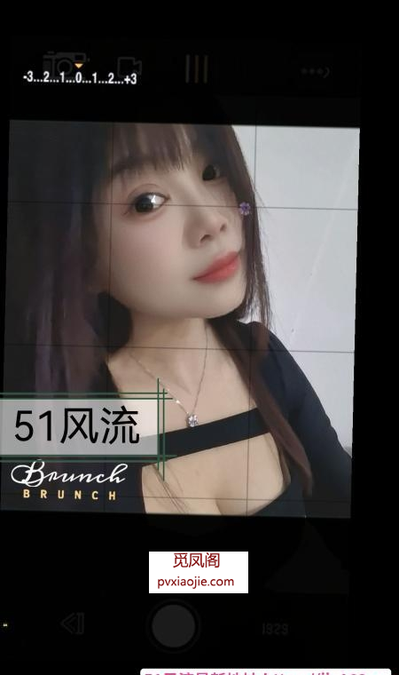 树木岭小狐狸