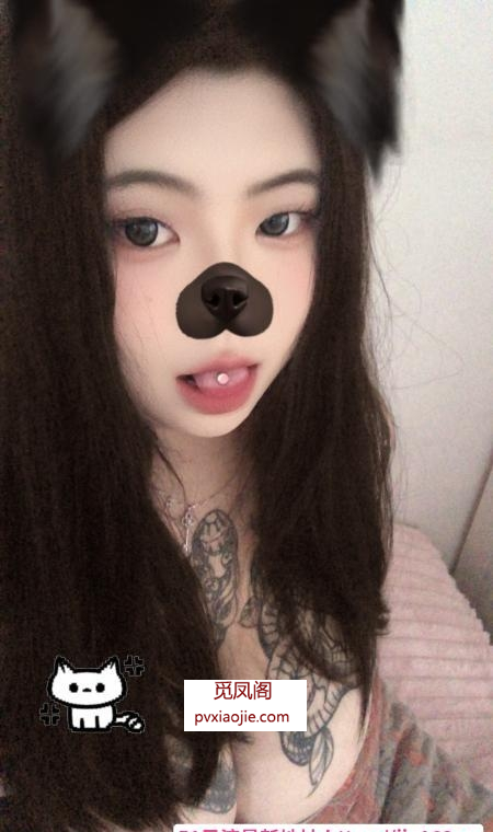 即墨花胸小坦克