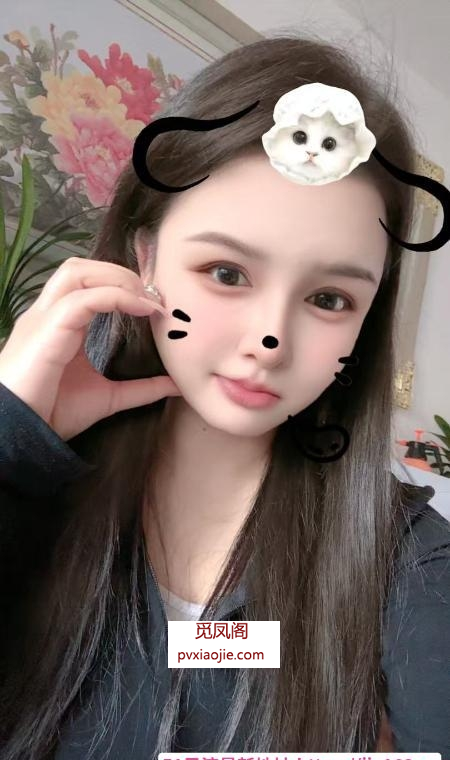 大胸小奶猫