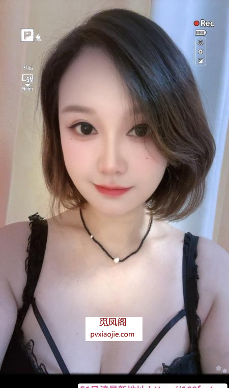 汉阳小野猫