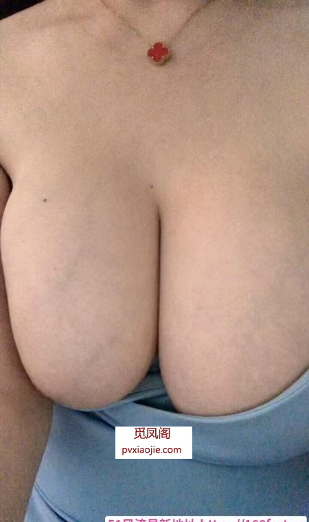 惠南大胸