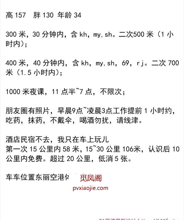车震大胸骚妇
