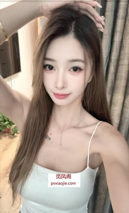 普陀小布丁
