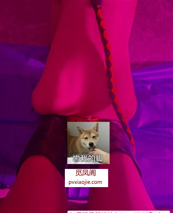 苏州最骚妇S女王如意