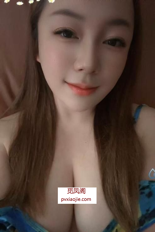 普陀大咪咪芙蓉